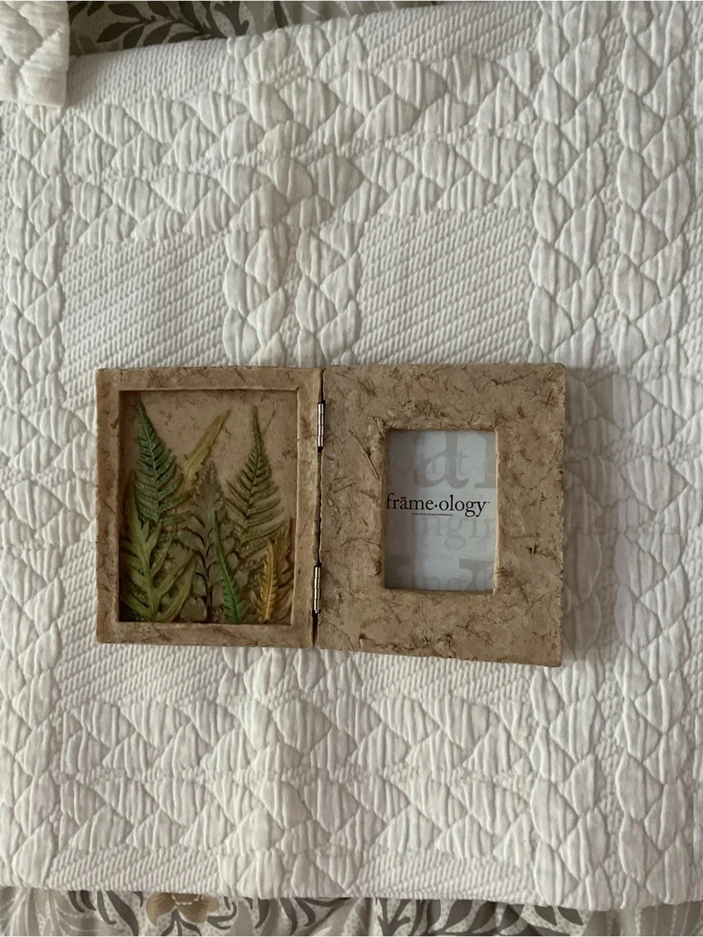 Natural Cork Double Picture Frame with Green Fern Accent